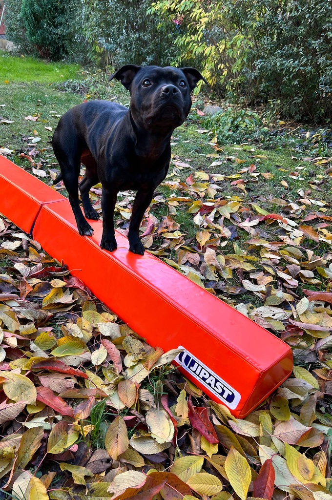 Agility balanční kladina pro psy Rino Dog - délka 2m