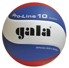 Míč volejbalový PRO - LINE - velikost 5